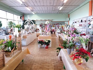Garden Shop Pasini