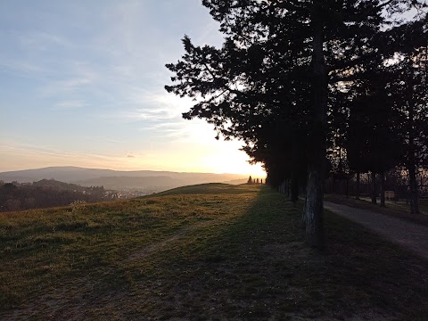 Parco Collinare di Canonica