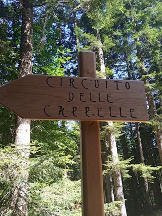 Circuito delle Cappelle Vallombrosa