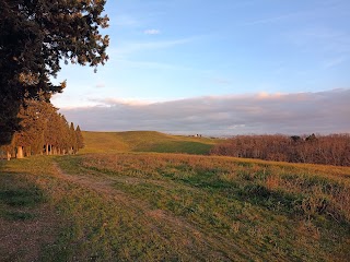 Parco Collinare di Canonica