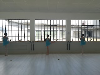 Ballet Studio - scuola di danza e ballo