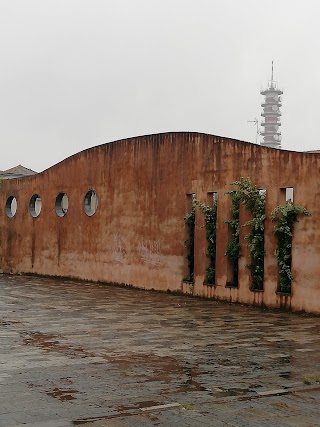 Ospedale Veterinario Farnesiana