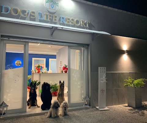 Dog's Life Resort s.r.l.s