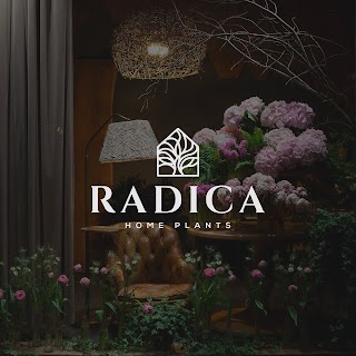 Radica Home Plants