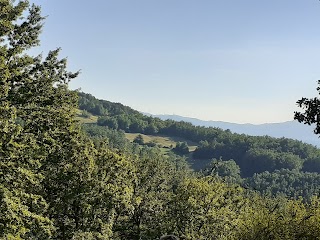 Riserva Naturale Regionale Oasi WWF dei Ghirardi