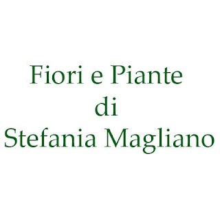 Fiori e Piante - Stefania Magliano