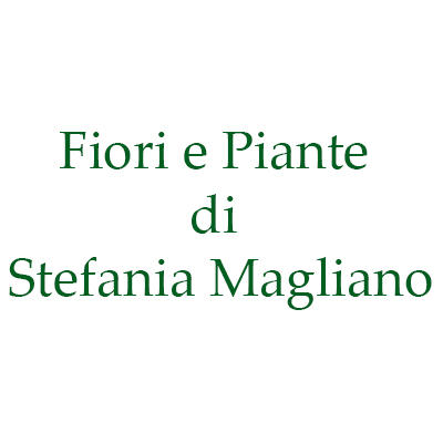 Fiori e Piante - Stefania Magliano