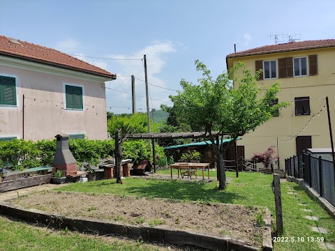 La Tana in Collina (apartment) - CITRA 010035-LT-0007