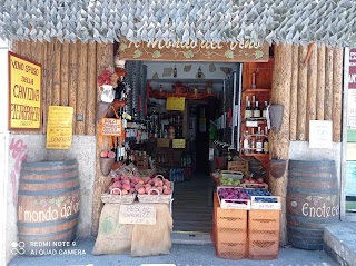 IL MONDO DEL VINO