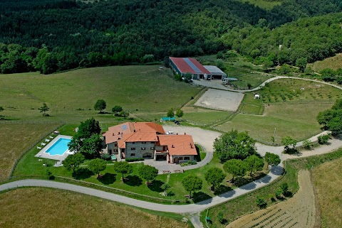 Agriturismo "La Collina delle Stelle" - Toscana, Tuscany - Vacanze per Gruppi, Holiday House for Groups