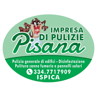 Impresa di Pulizie Pisana