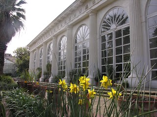 Orto Botanico di Napoli