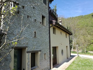 Azienda Agricola Poderidelborgo