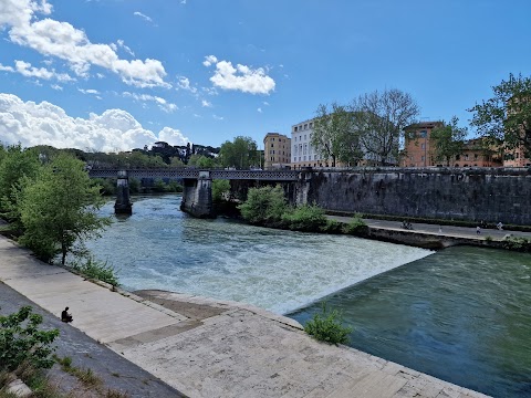 Isola Del Cinema