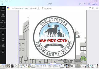 My Pet City