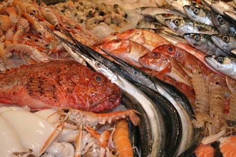 Pescheria Gocce di mare