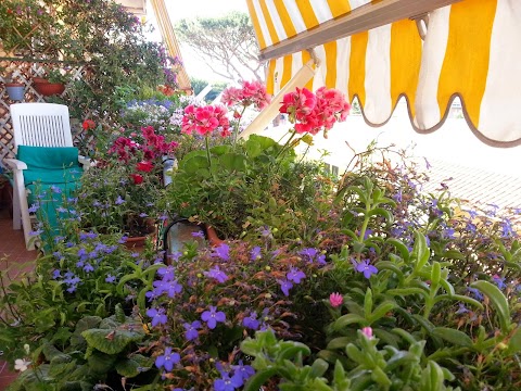 B&B LA COCCINELLA - vicino costiere sorrentina e amalfitana, Vesuvio e rovine di Pompei