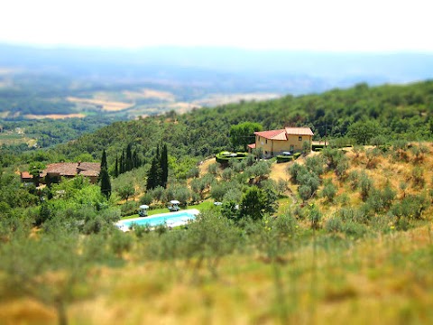 Podere Casarotta - Villa & Holiday Apartments