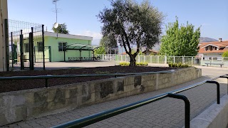 Scuola Elementare Collodi