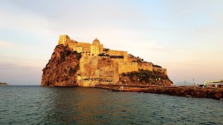 Lunaria Ischia