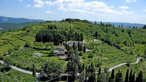 Azienda Agricola Montefili