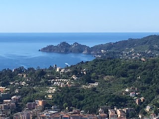 Vista mare Portofino