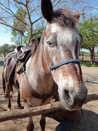 Passeggiate a cavallo - I tre confini