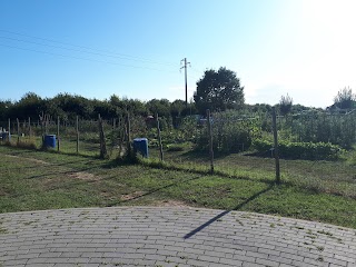 Orti urbani di Mirandola