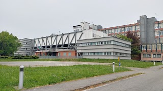 Ospedale Santa Maria delle Stelle