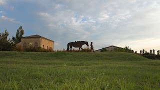 Circolo ippico Corte Ghiara