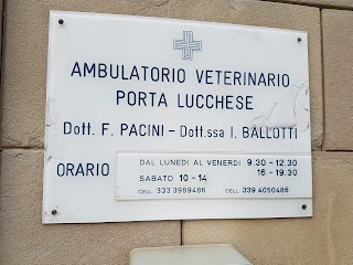 Ambulatorio Veterinario Porta Lucchese