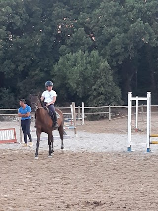 Maneggio "A.s.d. Equestrian Academy" - Monopoli - Scuola di Equitazione