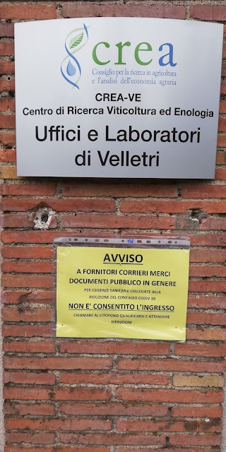 CREA Viticoltura Enologia Laboratorio di Velletri- ROMA