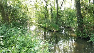 Centro Visita del Parco Naturale del Lago di Candia