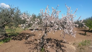 Allevamento della Valle Di Chiaramonte