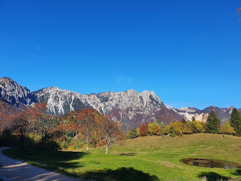 Sentiero Grandi Alberi