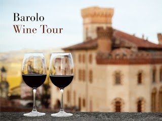Alba Wine Tours