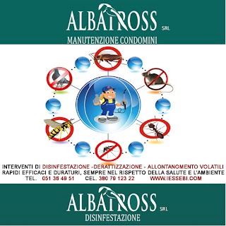 Albatross - I.S.B. Disinfestazioni Derattizzazioni Sanificazioni