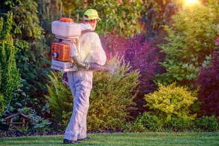 Green Eco Srl Sanificazioni e Servizi Ambientali