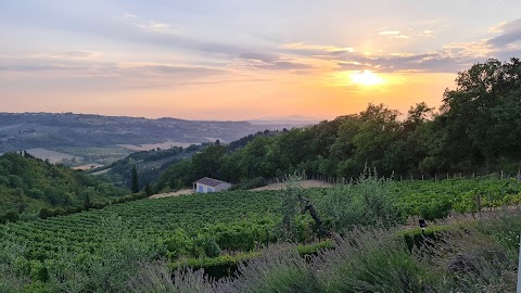 da Tiberio a San Casciano