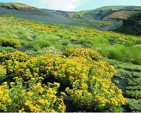 Baita nei boschi del Parco dell'Etna