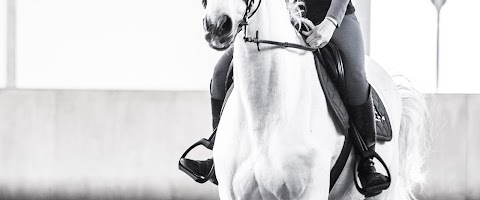 Royal Rider Stirrups Italy