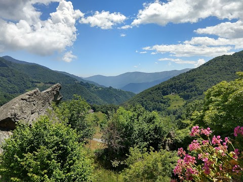 AGRITURISMO IL RUNCH DI MAJRANO LUCA