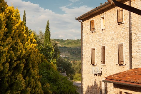 Costa degli Ulivi