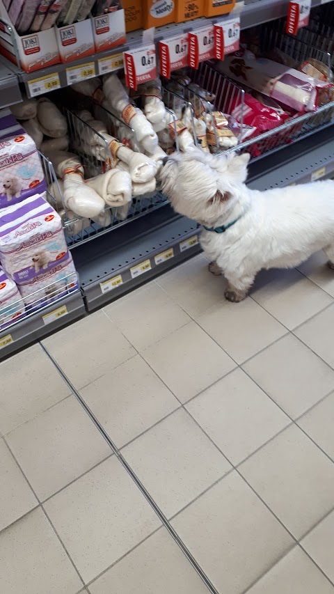 PETSTORE CONAD