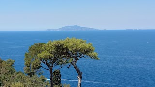 Giorgio al Cucciolo