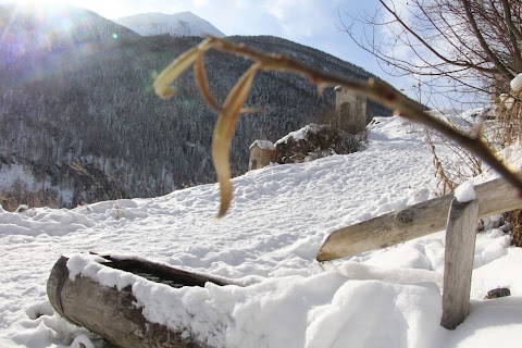 Le Chalet des Cimes - Retour d'Est - Abries