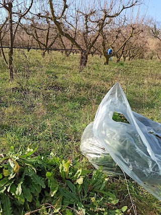 L'Ortofrutta di Antonella