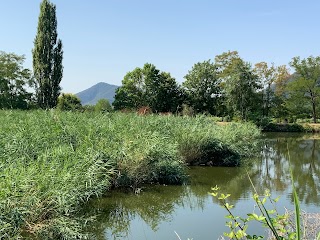 galzignano terme pd