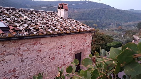 Fattoria di Castiglionchio